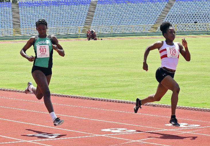 Bertrand in windy Olympic trial double