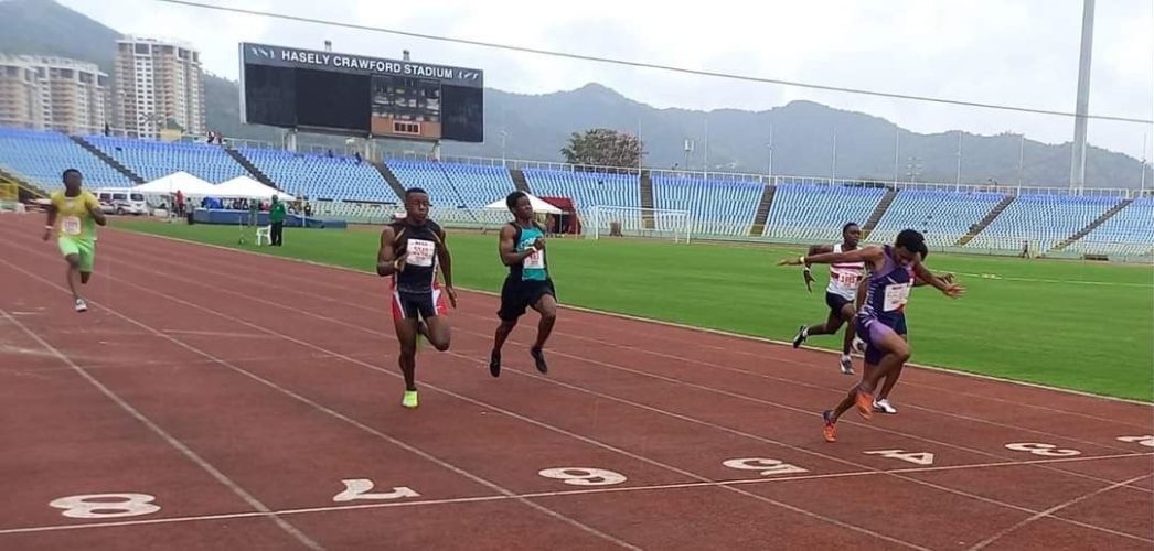 01_webster_mckay_show_carifta_form.jpg