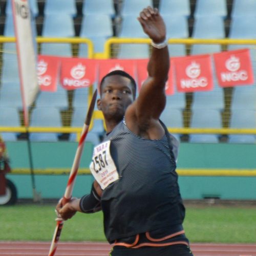 15_walcott_bags_diamond_bronze.jpg