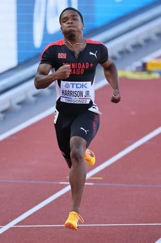 15_walcott_harrison_shine.jpg